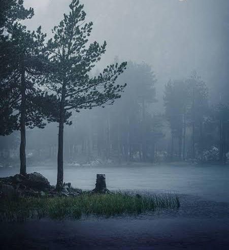 breaking-news-integration-of-pollination-servicesexplained-by-environmental-accounting-explainer-report