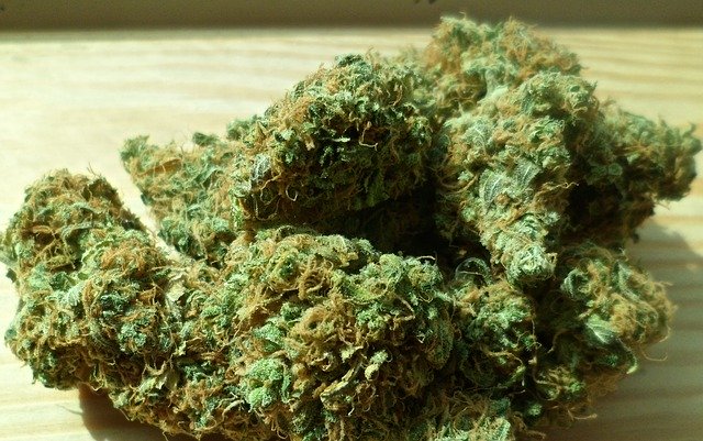Five Ganja men arrested,1,350 kg of cannabis seized