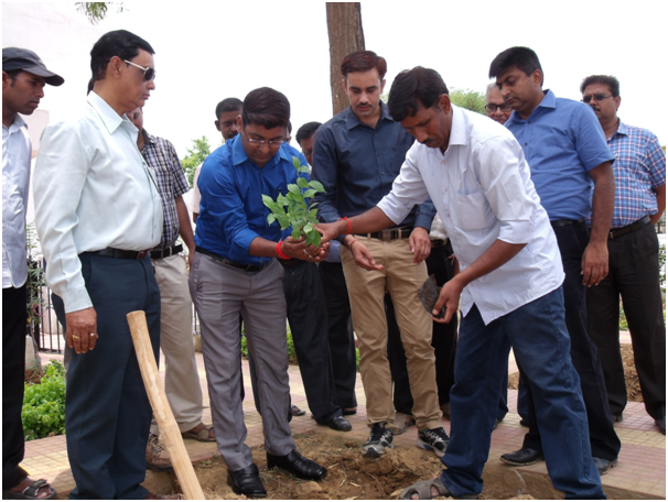 Met Dept staff plant 250 trees in Ranchi office premise