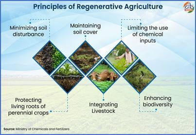 despite-declining-soil-health-india-records-decadal-growth-of-445-in-agriculture-sector-a-report
