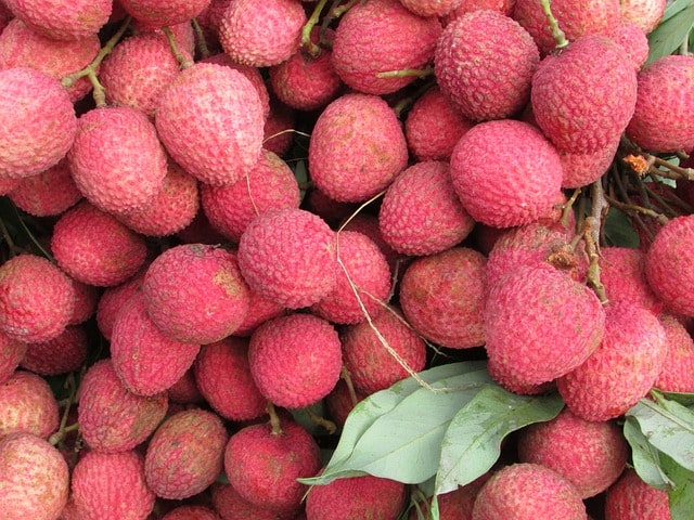 Bihar Litchi Export by air route to London begins