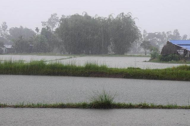 Heavy rains across Jharkhand till July 29, predicts IMD