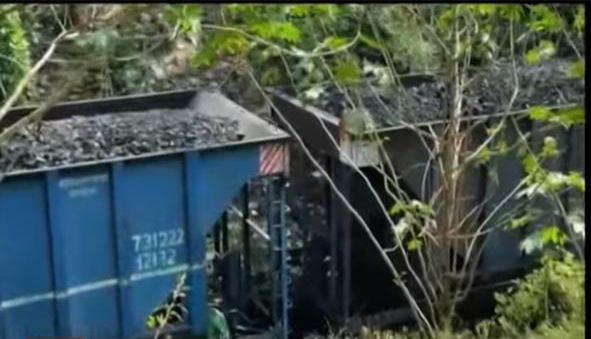 rain-affected-old-tracks-may-owe-to-derailment-of-iron-ore-packed-goods-train-in-jharkhand