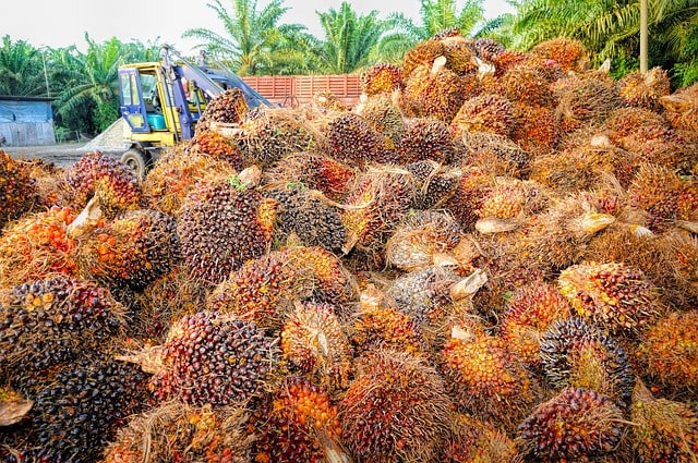 Centre reduces agri-cess for Crude Palm Oil from 7.5 percent to 5 percent