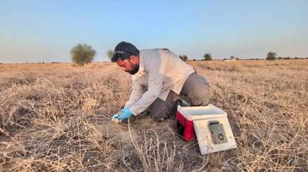 Bustard blessed with three chicks, raising stock to 94 birds, writes Minister Bhupendra Yadav 