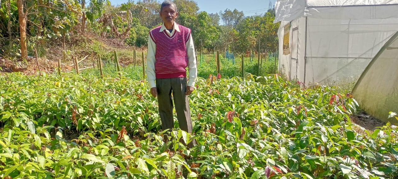jharkhand-uses-mgnrega-funds-to-make-farmers-grow-saplings-under-the-govt-s-scheme-didi-badi-yojna