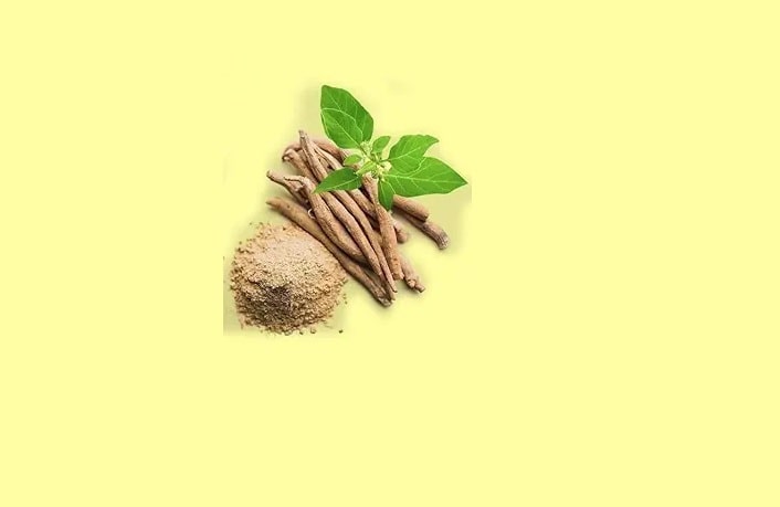 Ashwagandha has potential to reduce stress, improve sleep, boost immunity: Scientific Studies 