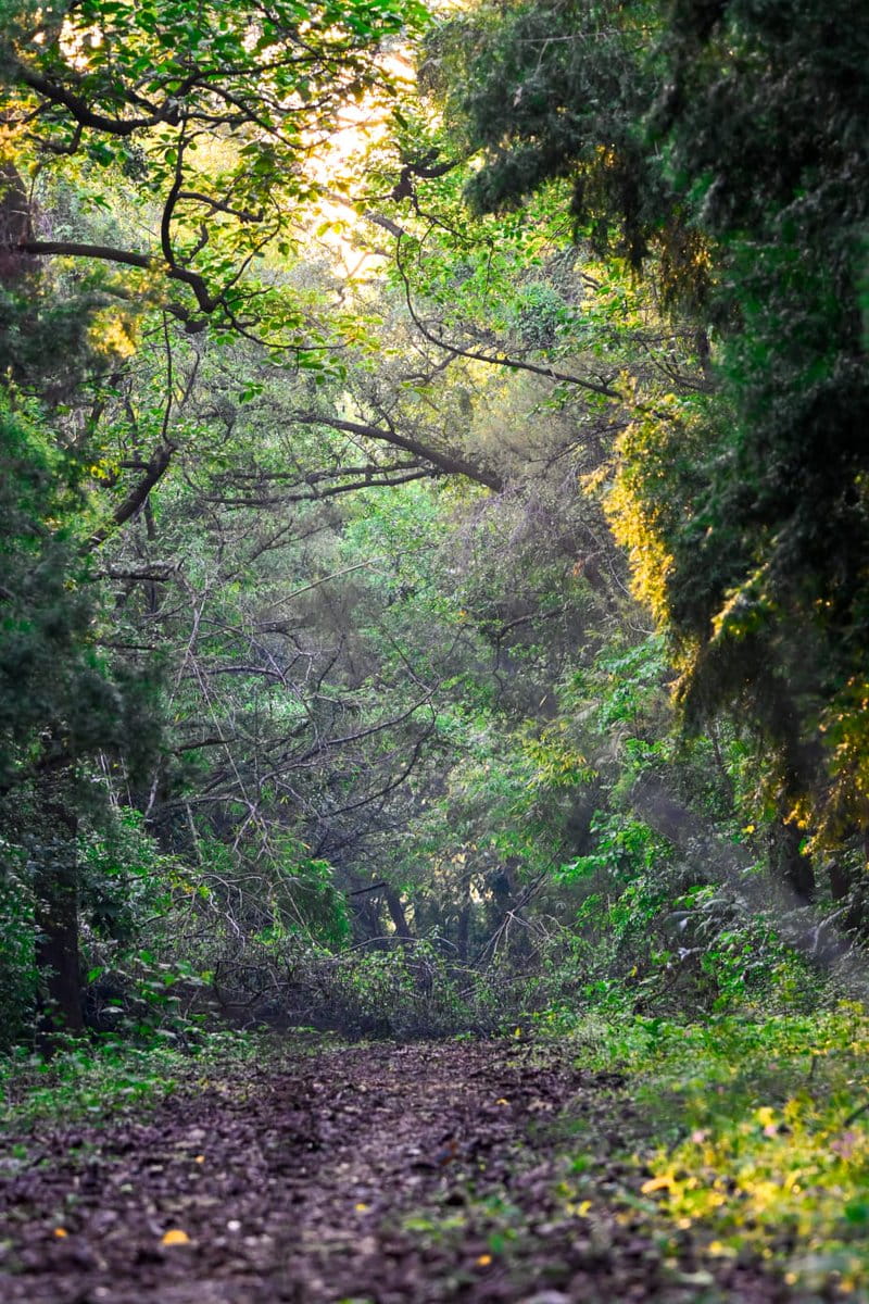 NBA Launches Internship Programme in Biodiversity Conservation & Natural Resource Management 