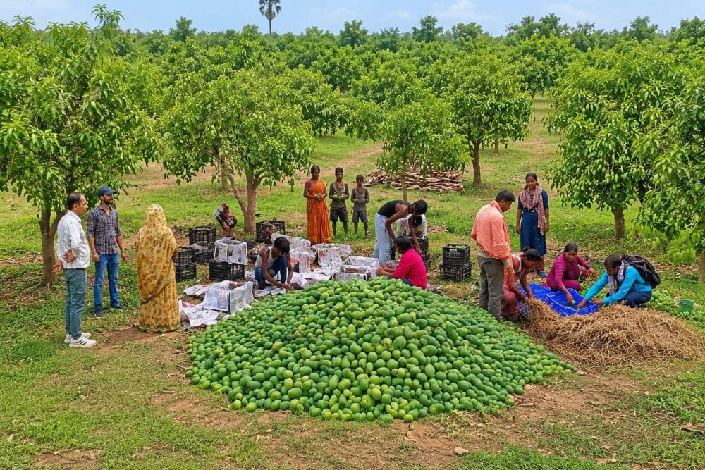 nafed-launches-farmer-centric-portals-to-streamline-auction-related-activities-in-the-interest-of-farmers-in-india