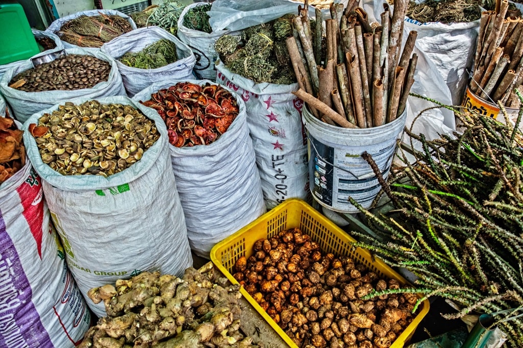 India’s Traditional Medicine Systems: Building Quality, Access and Global Confidence