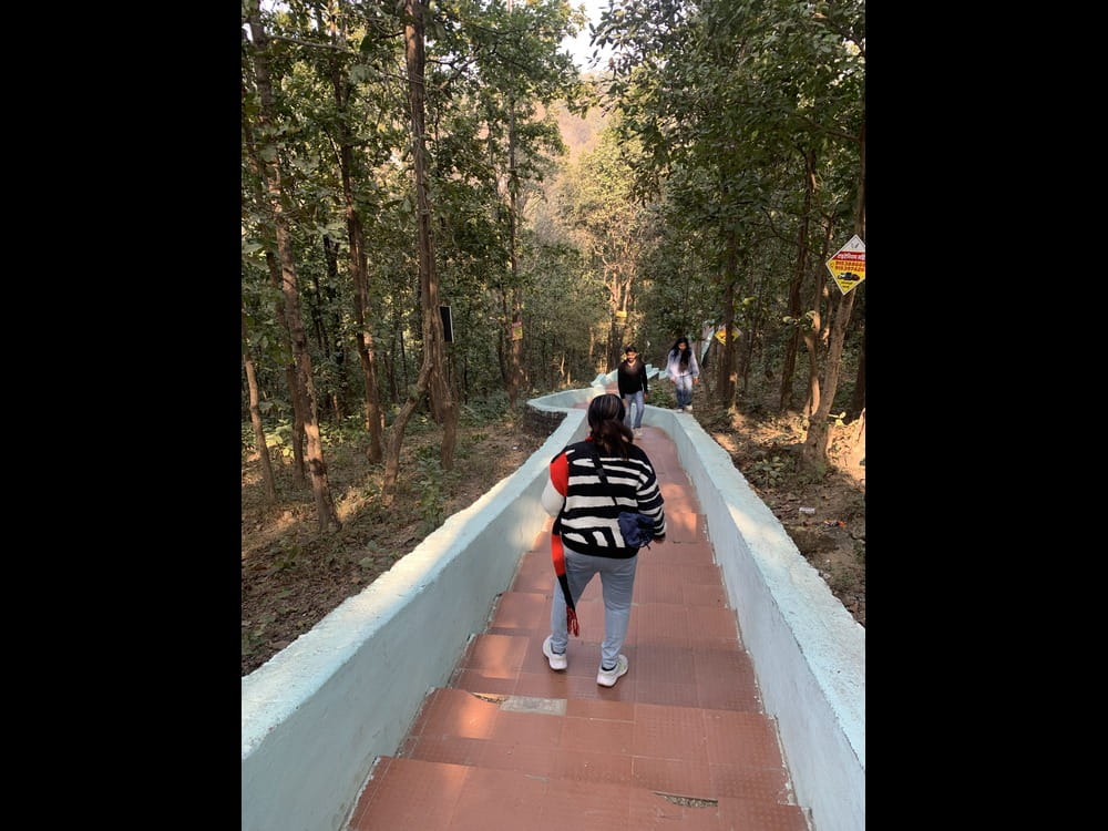 national-zoological-park-marks-international-day-of-forests-with-educational-outreach-and-plantation-drive