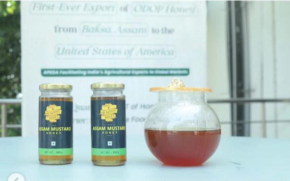 exclusive-honey-from-eco-friendly-environments-of-baska-in-assam-exported-to-the-usa-a-report
