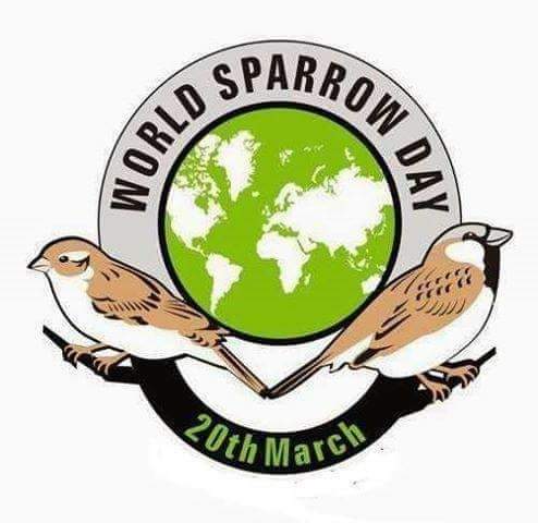 Unaware of  World Sparrow Day, villagers feed Sparrows in Tamar