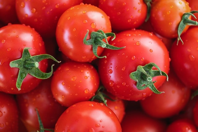Wholesale prices of Tomatoes decline, claims Centre 