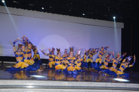 DPS Ranchi holds colourful show,celebrates success
