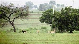 Move to check crimes against wild life in Jharkhand