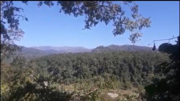 A plan afoot to make alive dead Vulture Conservation Centre near Jharkhand capital at Muta