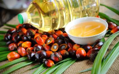 Prevent heart attack, avoid palm oil