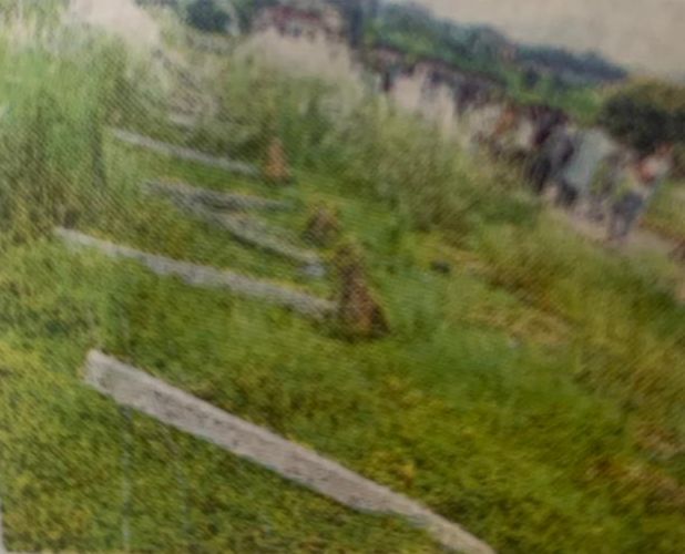 rims-2-project-encounter-killing-of-surya-hansda-jolt-jharkhand-assembly
