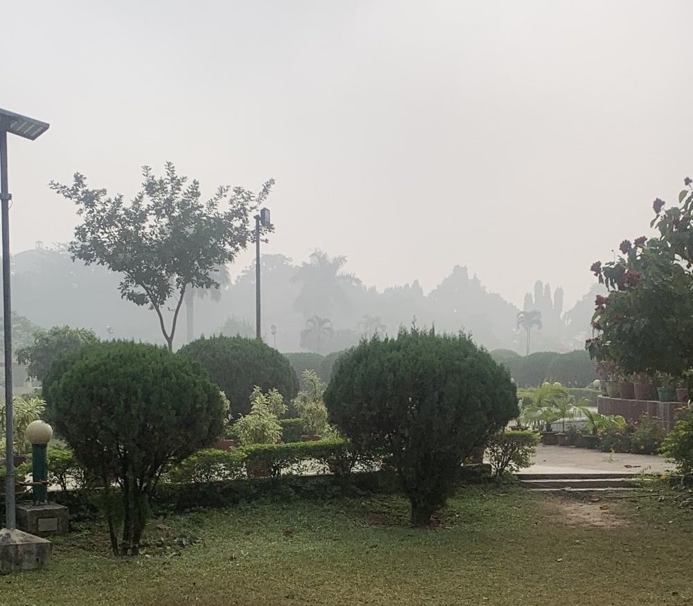 A day after Diwali, fog envelops sky heralding onset of winter in Ranchi 