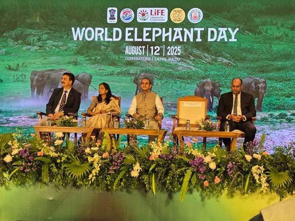 India stands as a Global Leader in Elephant Conservation with 60% of World’s Wild Population