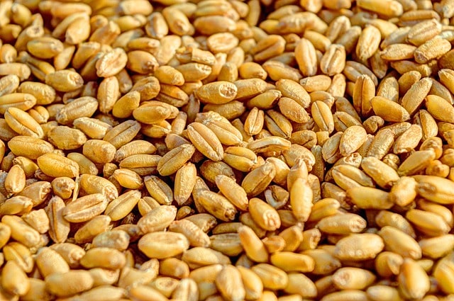 Good News- India has enough wheat for consumers: Centre