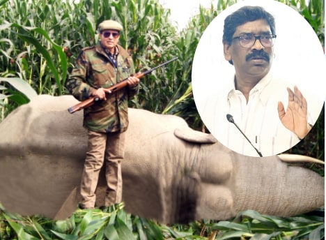 CM Hemant Soren’s task cut out to contain wild elephants & man-eater leopard