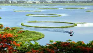 Exclusive: Where Waste Finds Purpose: Lessons from Northeast, Worth Copying in Jharkhand