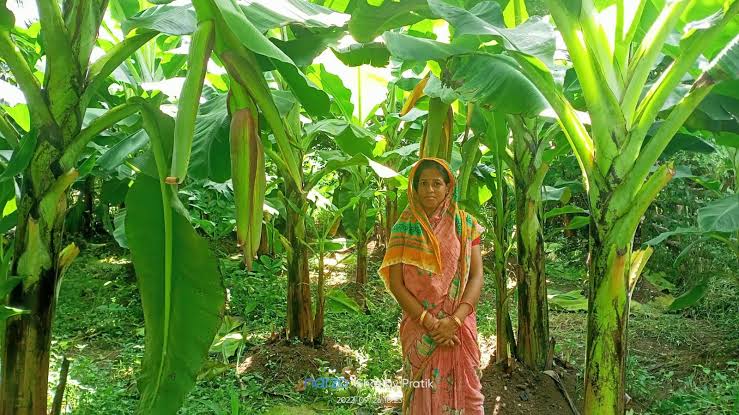 from-banana-farms-to-makhana-markets-the-highway-set-to-power-bihars-agricultural-heartland