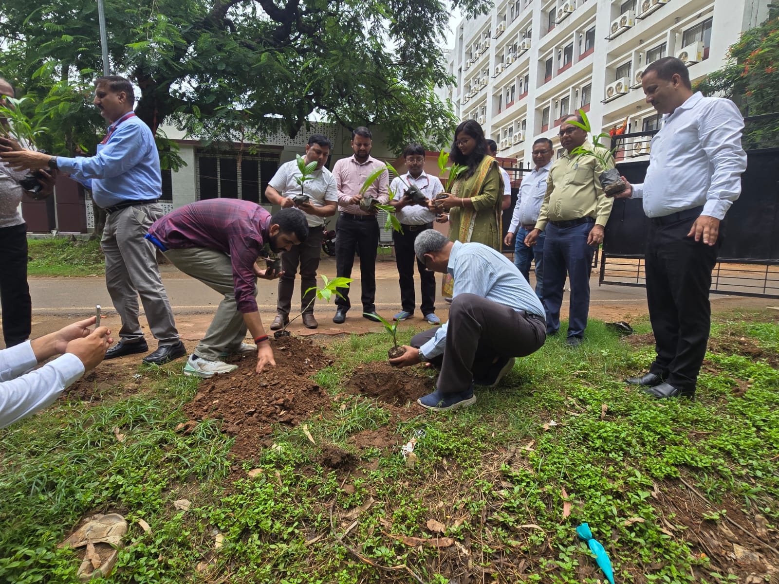 Commemorating 5- years of co-operative excellence,NCCF holds plantation drive in Ranchi