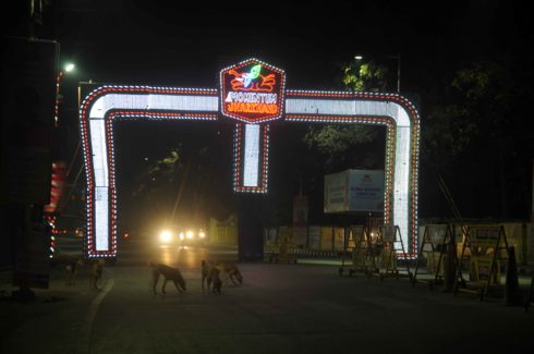 ‘Elephant flying’ in Ranchi as Das Govt gears up to hold Global Investors’ Summit