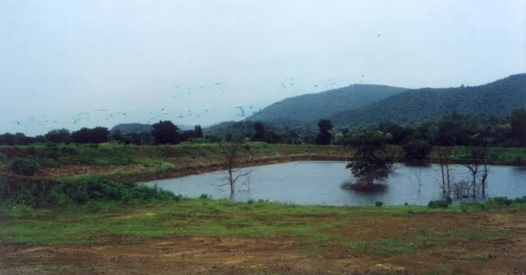 ‘Catch the Rain’ campaign makes impact across the country including some pockets of Jharkhand: Report ‘Catch the Rain’ campaign makes impact across the country including some pockets of Jharkhand: Report