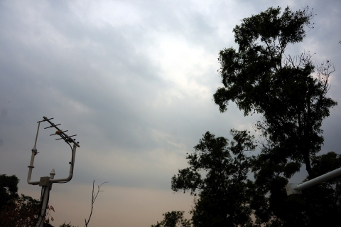 Monsoon arrives in Jharkhand,declares Met Dept