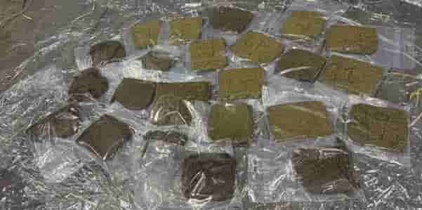 customs-officers-foil-a-mega-smuggling-move-at-air-cargo-complex-in-new-delhi