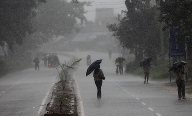 Rain generates hope among farmers in Jharkhand  