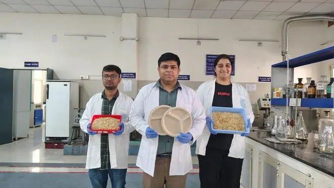 iit-roorkees-project-outcome-wheat-straw-products-can-contain-stubble-burningair-pollution